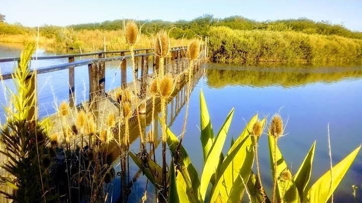 Vista de la laguna y el puente en la reserva natural de Capilla del Señor